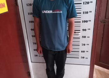 Yogi, tersangka pelaku curanmor yang ditangkap Polsek Sidamanik. (Foto: Wahanainfo.com)