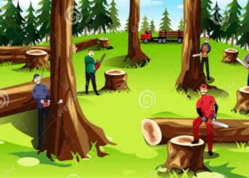 Ilustrasi penebangan hutan. (Sumber: Klikhijau.com)